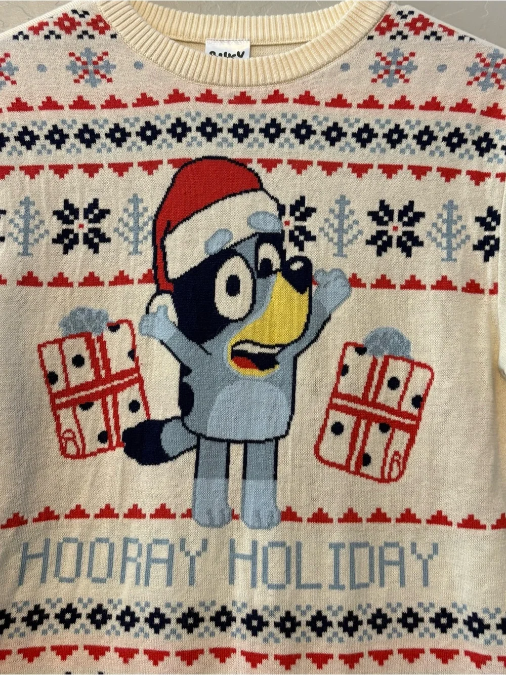 Bluey hooray holiday christmas holiday sweater kids size xl